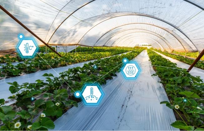 Agriculture thumbnail