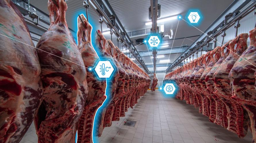 Meat processing thumbnail
