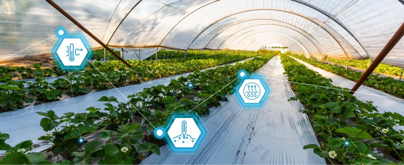 Agriculture thumbnail