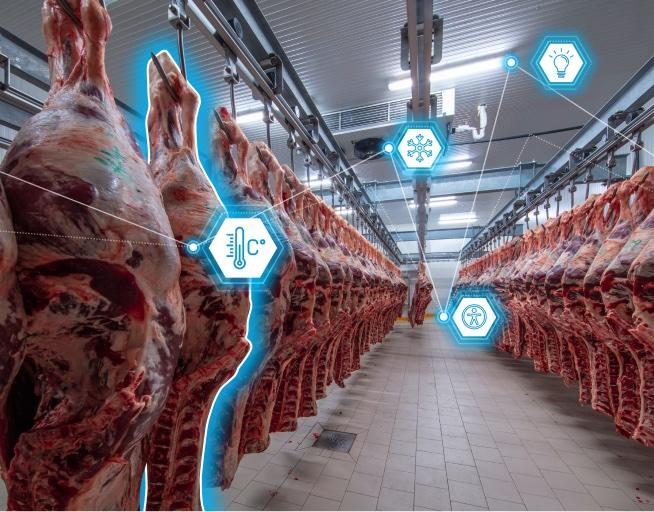 Meat processing thumbnail